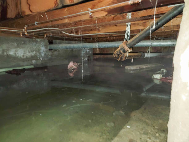  Tinley Park, IL Water damage restoration Pros