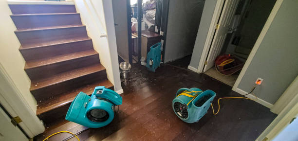 Best Water damage cleanup near me  in Tinley Park, IL