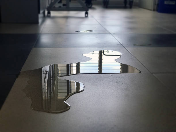 Best Water damage cleanup near me  in Tinley Park, IL