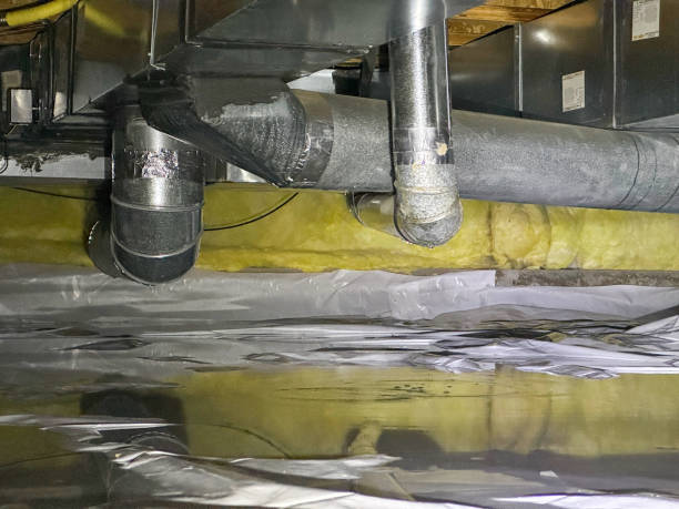 Best Water damage restoration near me  in Tinley Park, IL