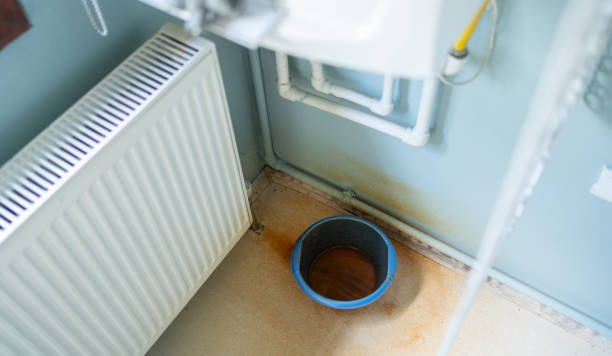 Best Basement water damage restoration  in Tinley Park, IL