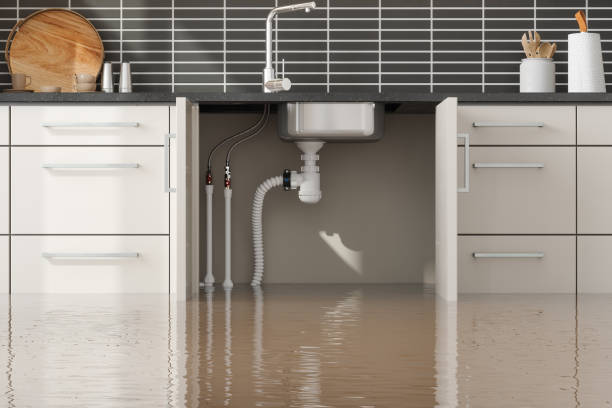 Best Water damage restoration near me  in Tinley Park, IL