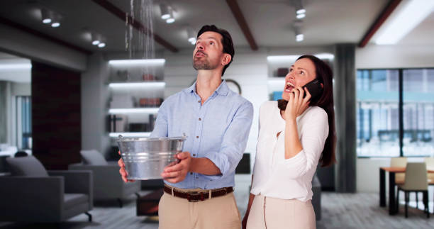 Best Flood damage cleanup  in Tinley Park, IL